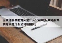 区块链股票的龙头是什么公司啊[区块链股票的龙头是什么公司啊图片]